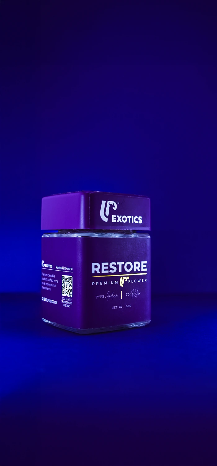 Purple LP Restore flower jar