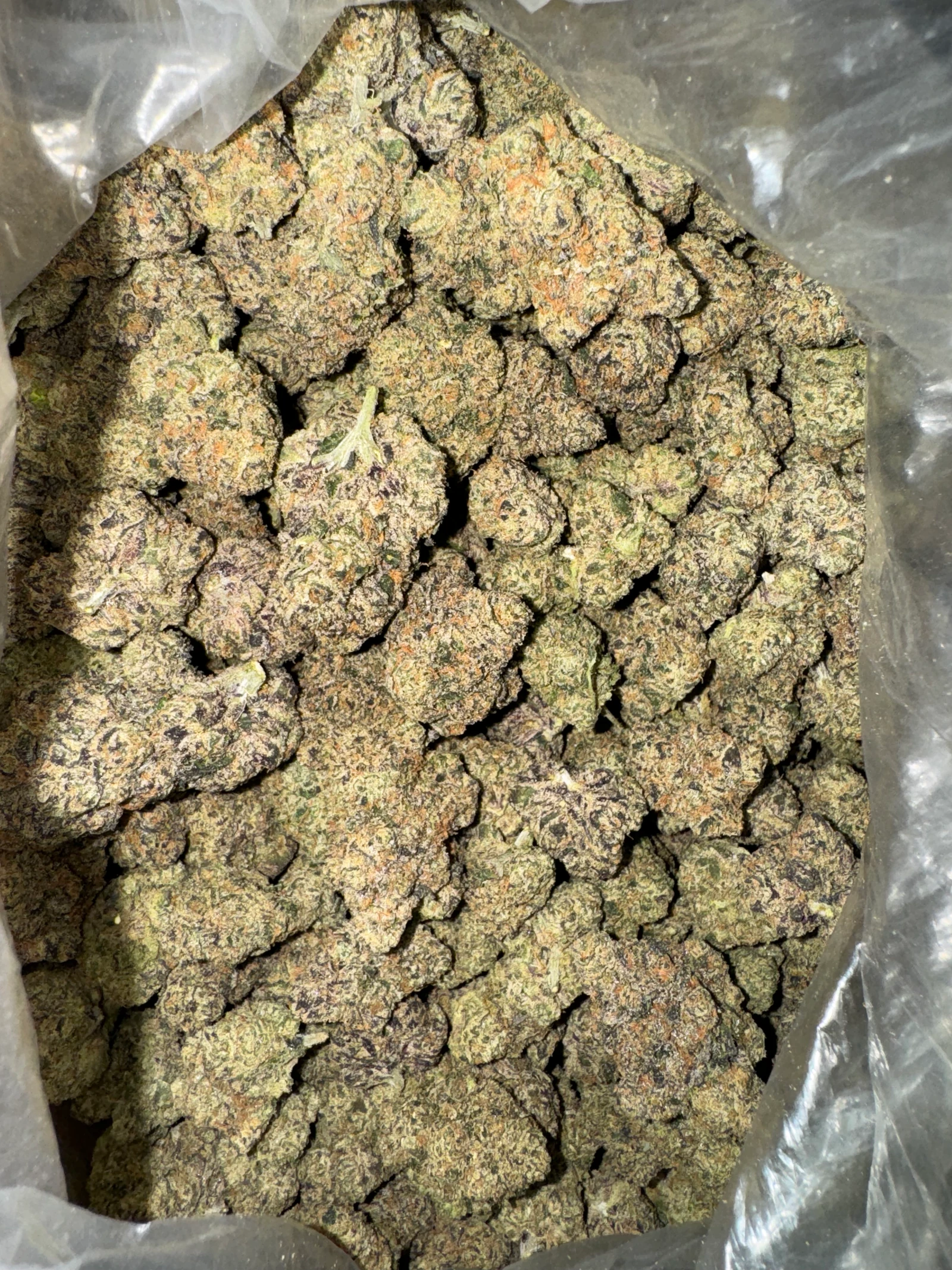 Close-up of dense purple and green flower buds with orange hairs in an open bag