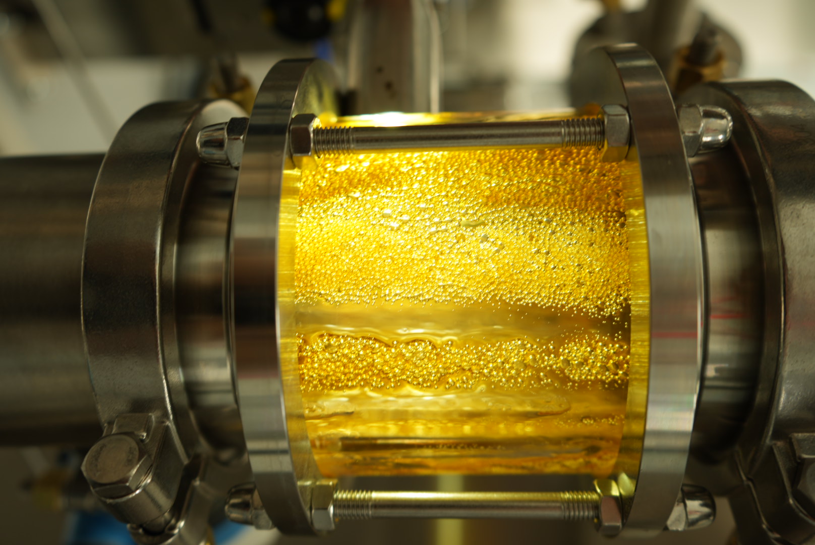 Golden liquid and fine bubbles seen through a glass chamber in the LP extraction equipment