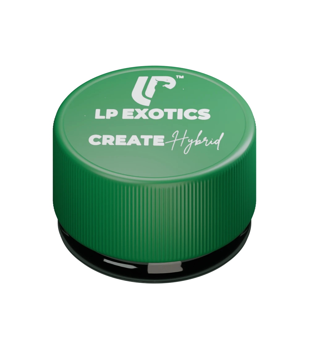 Closed LP Create jar with a deep green screw cap and clear glass base